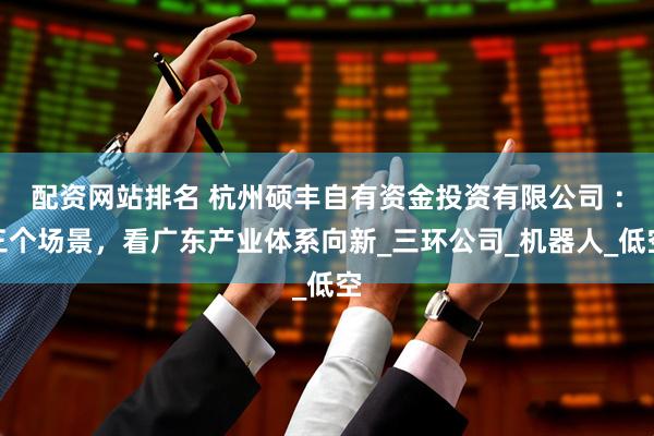 配资网站排名 杭州硕丰自有资金投资有限公司 ：三个场景，看广东产业体系向新_三环公司_机器人_低空