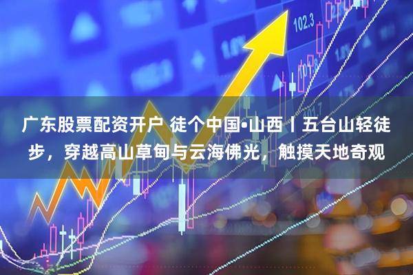广东股票配资开户 徒个中国•山西丨五台山轻徒步，穿越高山草甸与云海佛光，触摸天地奇观
