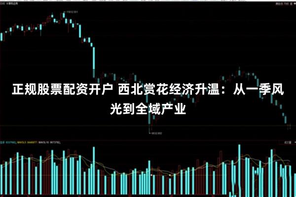 正规股票配资开户 西北赏花经济升温：从一季风光到全域产业